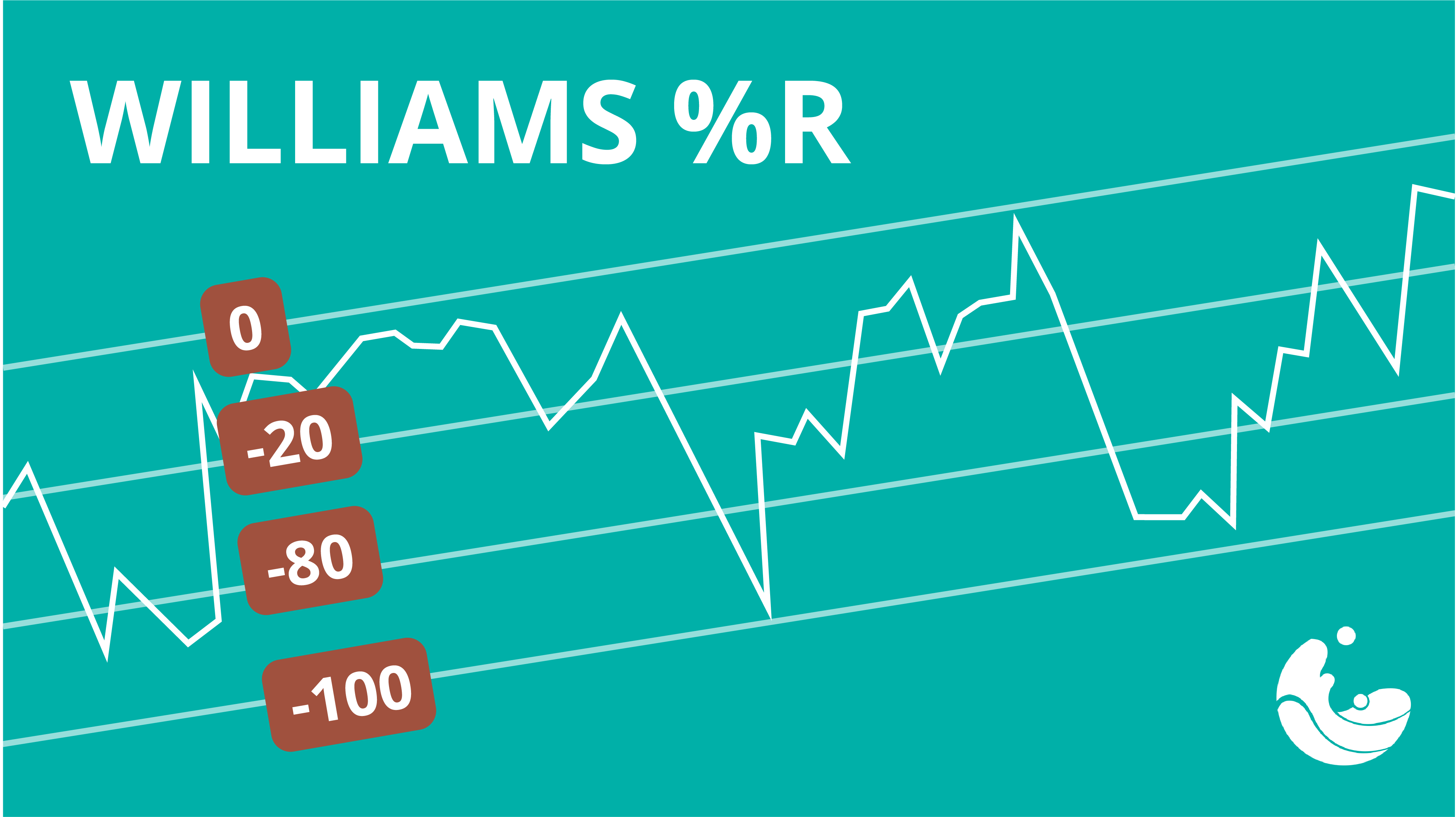 What is Williams %R ?